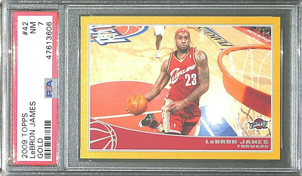 2008-09 Topps Gold /2009 Lebron James