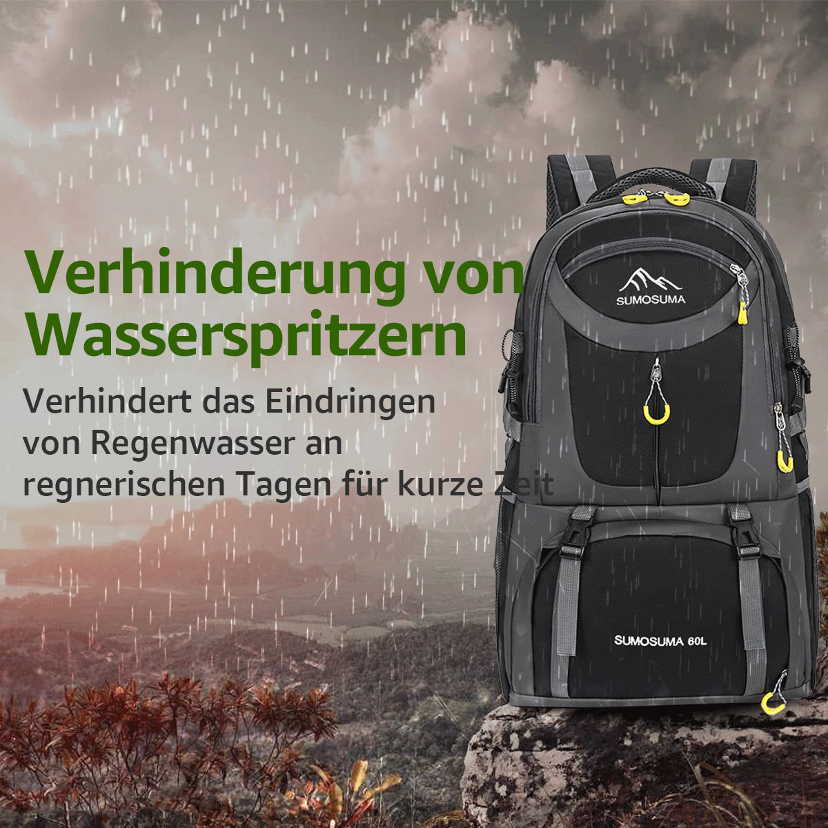 Bild 8 von 9