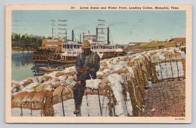Levee Scene & Water Front Loading Cotton Memphis Tennessee c1957 Postcard