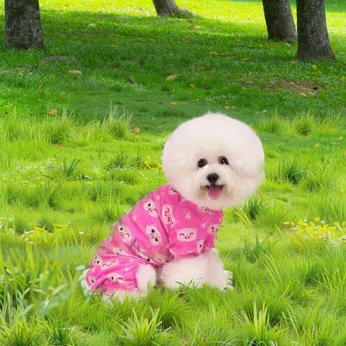 Dog Pajamas Soft Warm VELVET Jumpsuit Cute Animal and Fruit Pet Clothes - Picture 36 of 52
