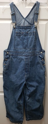 GAP Jeans Carpenter Overall Medium