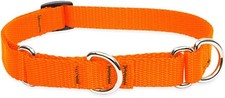 LupinePet Basics 3/4" Blaze Orange 14-20" Martingale Collar