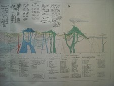 NATURAL HISTORY_GEOLOGY_ANIMALS_PLANTS_LAND_ROCKS_MINERALS_MINES_SCIST