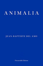 Animalia - Paperback / softback NEW Wynne, Frank 20/03/2019