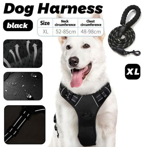 Electric Dog Training Collar Dog Anti Bark Stop Rechargeable Waterproof w/Remote - Picture 17 of 28