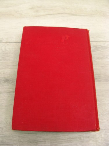 The Bandit of Hells Bend Edgar Rice Burroughs 1925 HC 1st Ed Western Action Love - Bild 5 von 14
