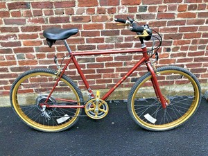 ross diamond cruiser bike