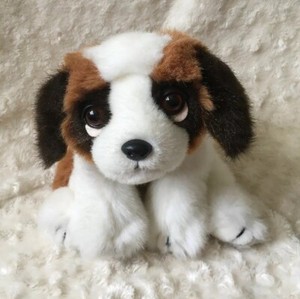 perritos de peluche con ojos tristes