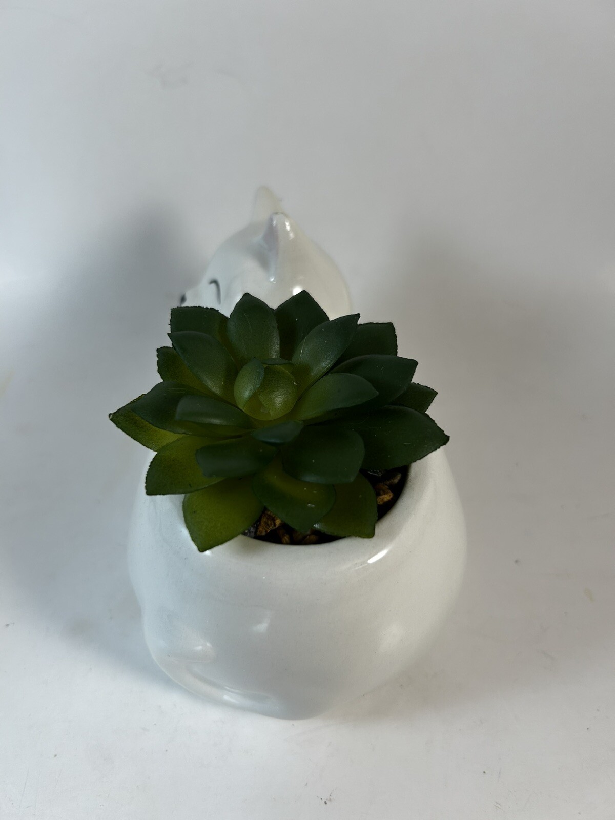 Picture 2 of 6