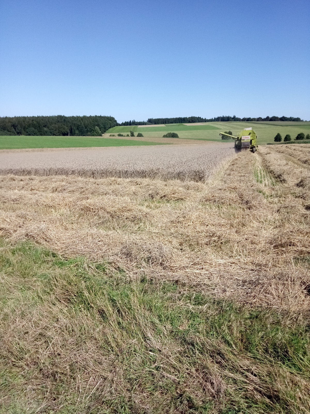 Bild 2 von 2