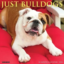 Bulldogs 2026 12" x 12" Wall Calendar (free shipping)