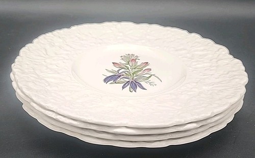 Set 4 Royal Cauldon Bristol Ironstone Woostock Plates 9 1/4" Embossed England - Picture 19 of 19