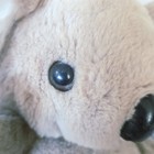 Bild 8 von 12