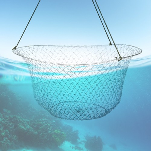 Folding Steel Wire Fishing Net Bait Shrimp Cage Crab Lobster Trap BX - Picture 11 of 11