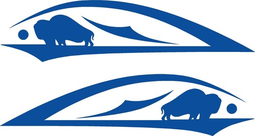 Vinyl Flames Decals Car Truck Golf Cart Graphics Tribal Buffalo #3 + Colors USA - Picture 17 of 19