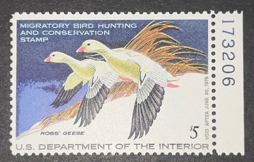Travelstamps: 1977 US DUCK STAMPS  SCOTT #RW44 $5 ROSS's GEESE MINT OG NH - Picture 2 of 5
