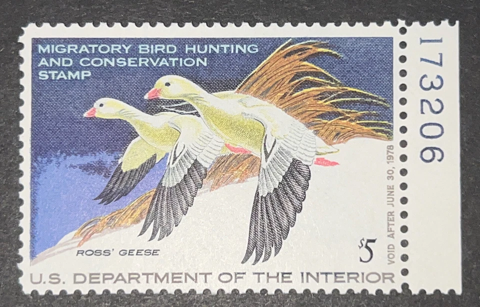 Travelstamps: 1977 US DUCK STAMPS SCOTT #RW44 $5 ROSS's GEESE MINT OG NH - Image 2 of 4