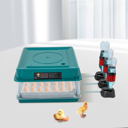 38 Eggs Incubator Temperature Control Automatic Turning Hatcher Duck