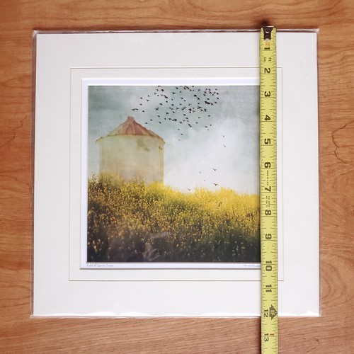 Angie Lambert Foto 12x12" mattiert Bauernhof Silo Vögel Blumen Americana rustikal - Bild 12 von 13