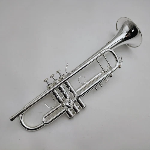 Instrument professionnel plaqué ruban vendre Bach Trompette LT180S-37 Bb avec étui