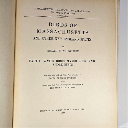 EH Forbush BIRDS MASS. & OTHER NEW ENGLAND STATES Vol 1,2,3 Vintage 1929 HC Good - Foto 2 di 24