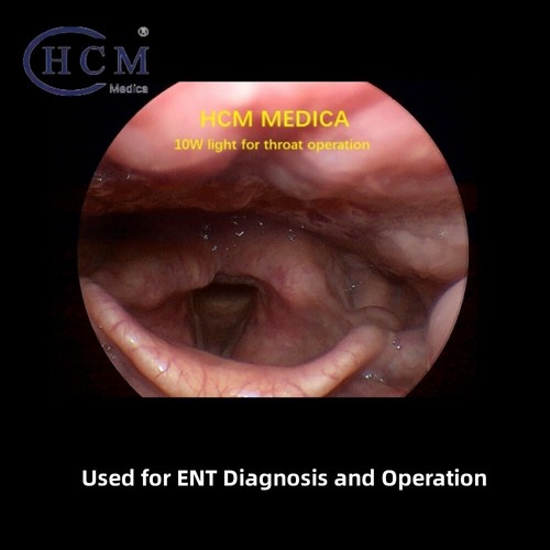 10W Mini Portable LED Light Source Fit For ENT Surgery Endoscope Light Source - Picture 10 of 20