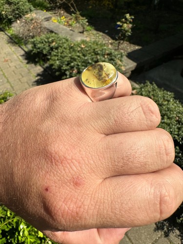 Large Genuine Baltic Amber Stone Mens Real Solid 925 Sterling Silver Signet Ring - Picture 20 of 20