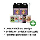Bild 6 von 12