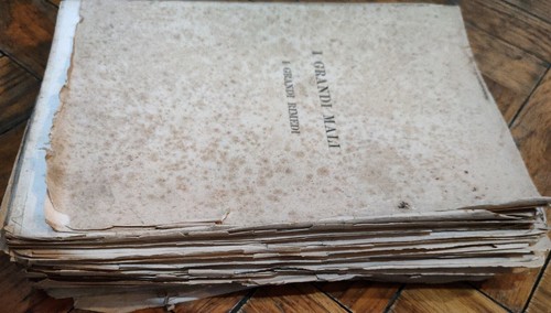 I GRANDI MALI I GRANDI RIMEDI TRATTATO COMPLETO DELLE MALATTIE 1882 RENDGADE - Foto 3 di 3