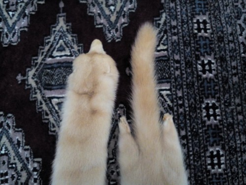 2 genuine mink skins beige 2 genuine mink skins beige