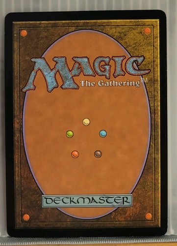 Mtg MISTY RAINFOREST LP Zendikar 220/249 -Argo- - Picture 2 of 2