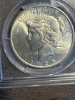 1925 $1 Peace Dollar PCGS MS65 - Sharp Detail Relief Bright Lustrous Silver Tone