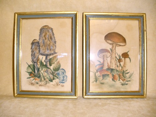 Set of 2 Vintage Theorem Paintings on White Velvet - Mushrooms Signed Marge - Picture 1 of 7