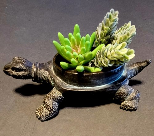 Decorazione tartaruga casa e giardino - Foto 7 di 8