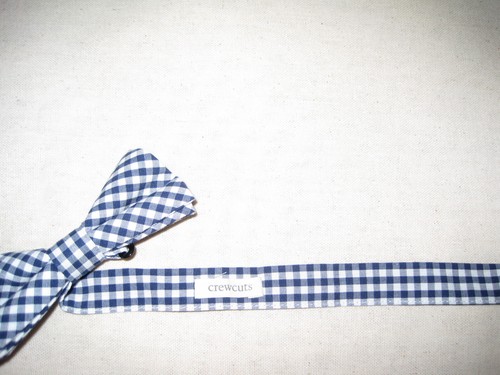 Boy's Crewcuts Pretied Adjustable Light Blue and White Checked Cotton Bowtie - Picture 3 of 3