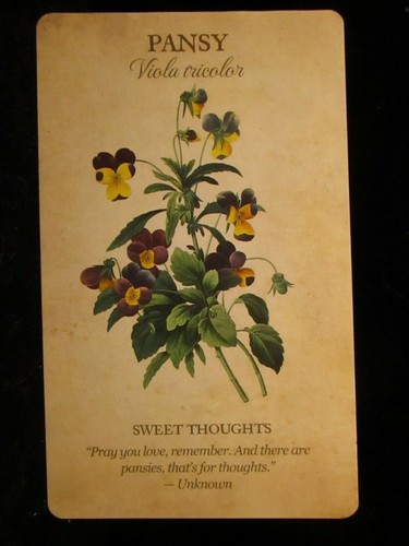 SEALED NEW! VICTORIAN BOTANICAL INSPIRATIONS CARDS & BOOK ORACLE & ORGANZA BAG - Imagen 8 de 12