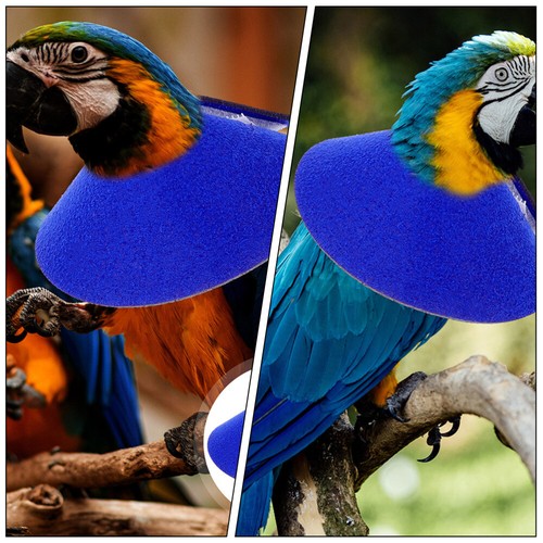 Parrot Protective Collar Parrot Protective offres Collar Bird Anti-pecking Cone Bird