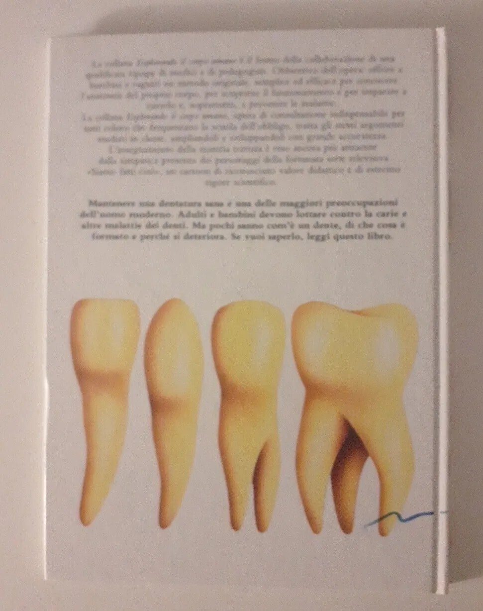 Foto 2 di 6