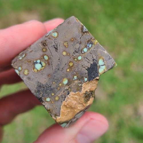 NATURAL STAR FOX VARISCITE ROUGH NEVADA 80.8 GRAMS - Picture 5 of 7
