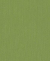 Rasch Textil Tapete Vlies Cassata 077192 GrüN Uni Textiloptik Glanz Stylisch