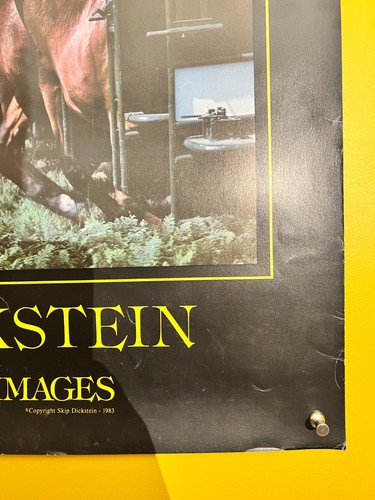 VTG Original Skip Dickstein Saratoga Images Poster 1983 Race Course Track NYRA - Picture 3 of 7