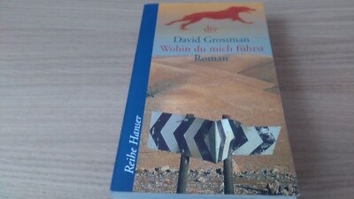 Wohin du mich führst  - Roman von David Grossman