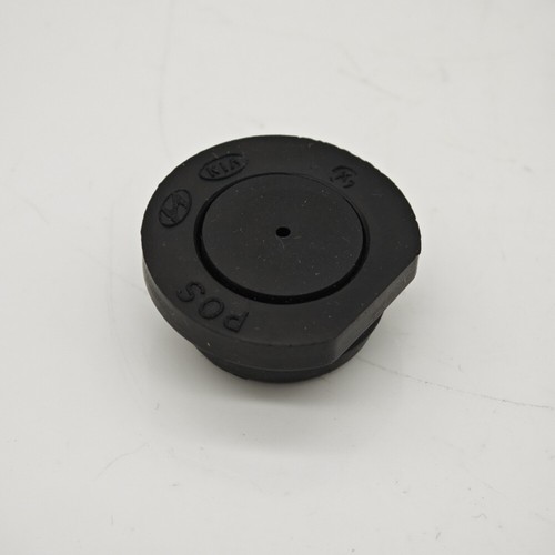 Camshaft Plug For 2015+ Hyundai Genesis Kia 2.4L 243522GGB0 243522GGA0 - Picture 4 of 13