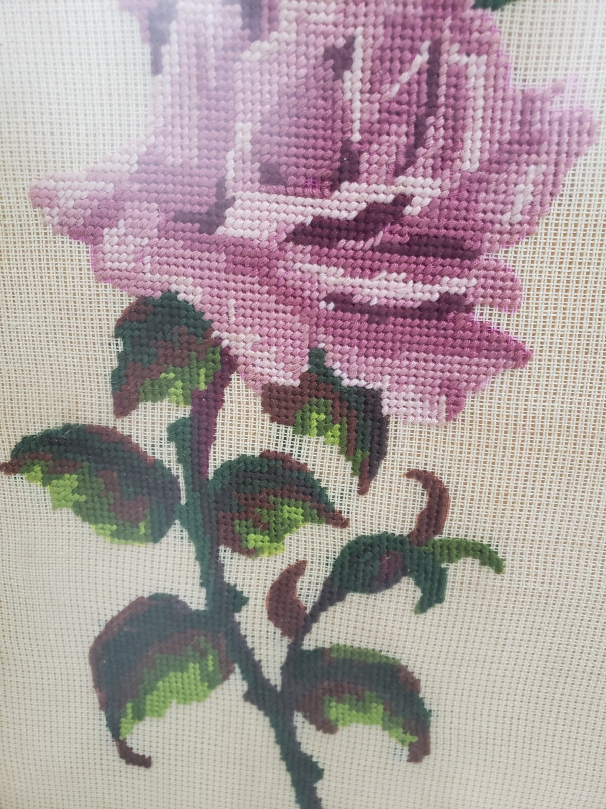 Picture 5 of 11