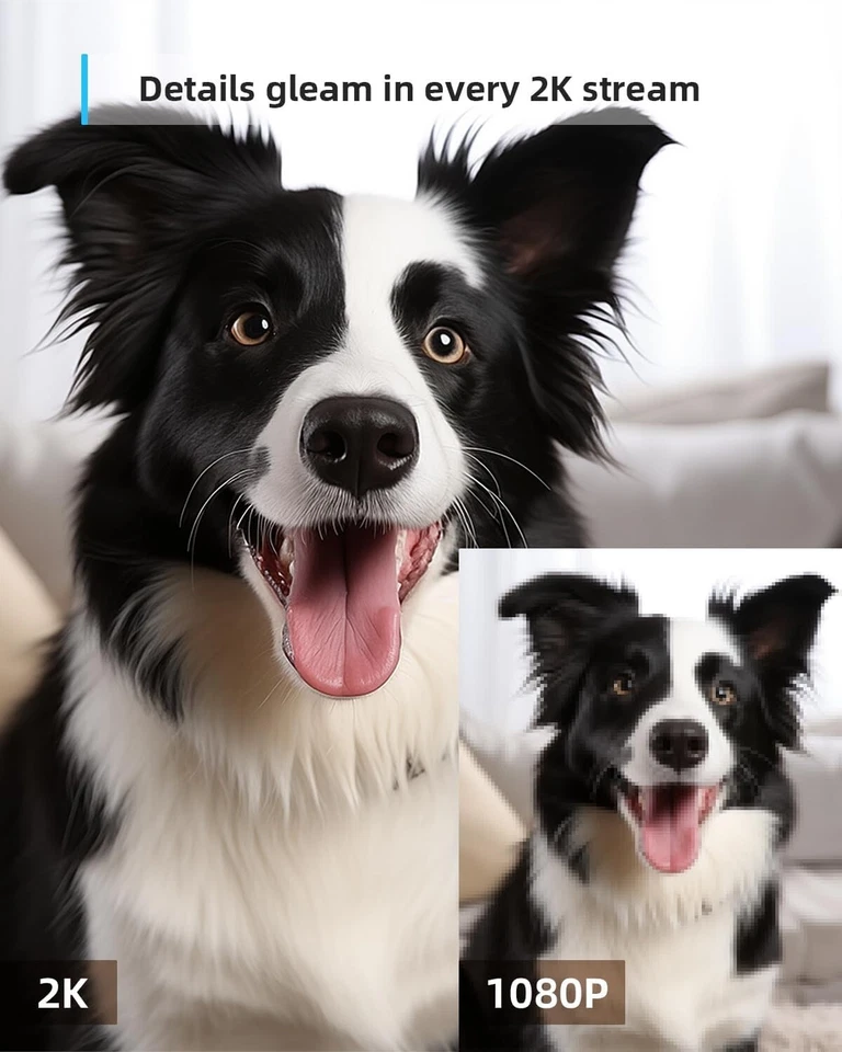 Blurams 2K Indoor Pet Camera WiFi Baby Monitor CCTV Night Vision 2.4Ghz Only - Image 3 of 4