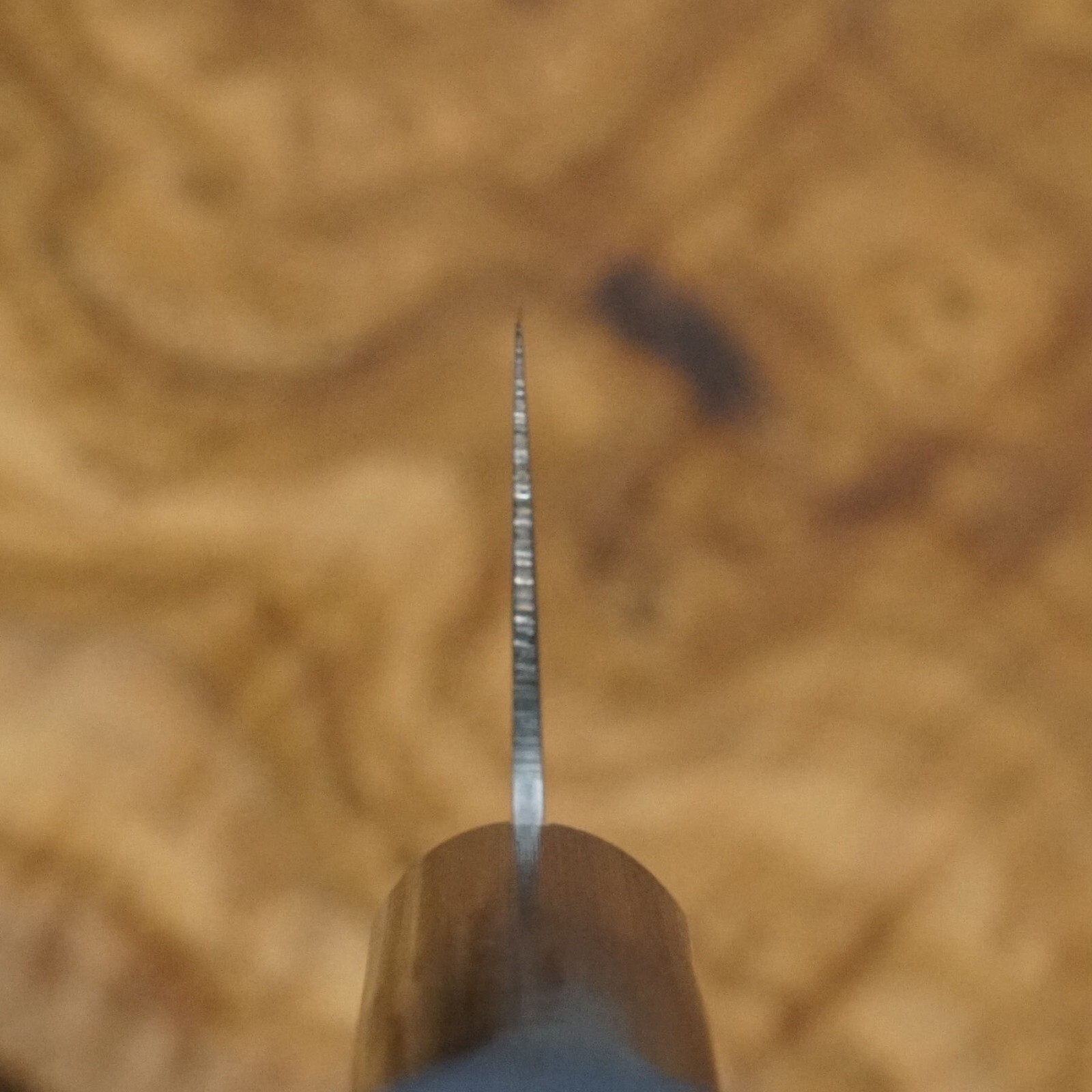 Picture 5 of 5