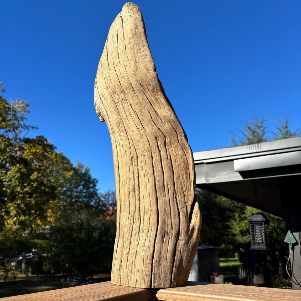 Baúl hueco de madera a la deriva 23x9x10 - Escultura de madera dura natural para decoración de acuarios Foto 4 de 4