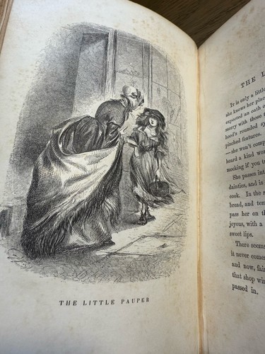 1853 Fern Leaves Fanny Fern Portfolio Gilt Cloth Illustrated Fred Coffin VG - Picture 12 of 16