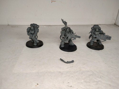 Warhammer 40k Salamandras Marines Espaciales Primaris Erradicators (3) Salamandra