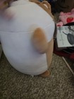 Picture 3 of 4